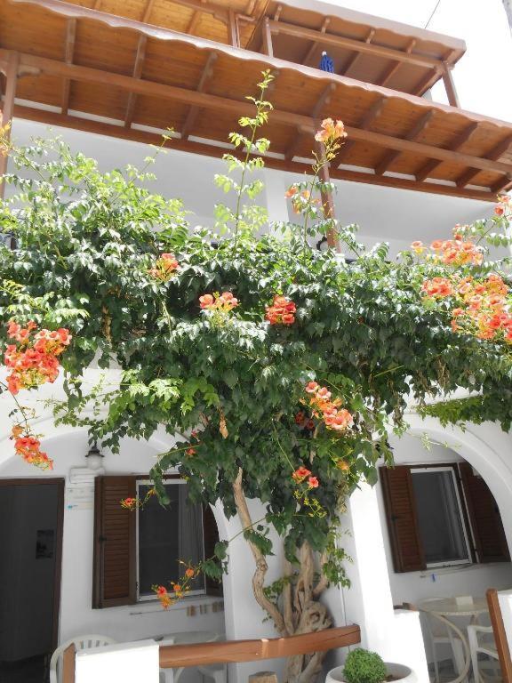 Summerfell Agia Anna  Buitenkant foto
